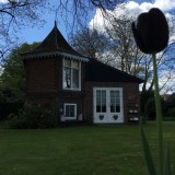 zwarte tulp geplant door huub stapel in bloembak bij vierseizoenenhuisje buitengoed de gaard